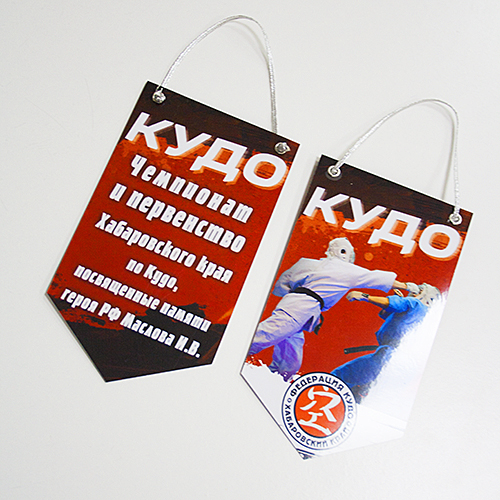 Вымпел полимерно-бумажный с полноцветным изображением (фотографией) на шнуре.  Размер вымпела 15х22 см